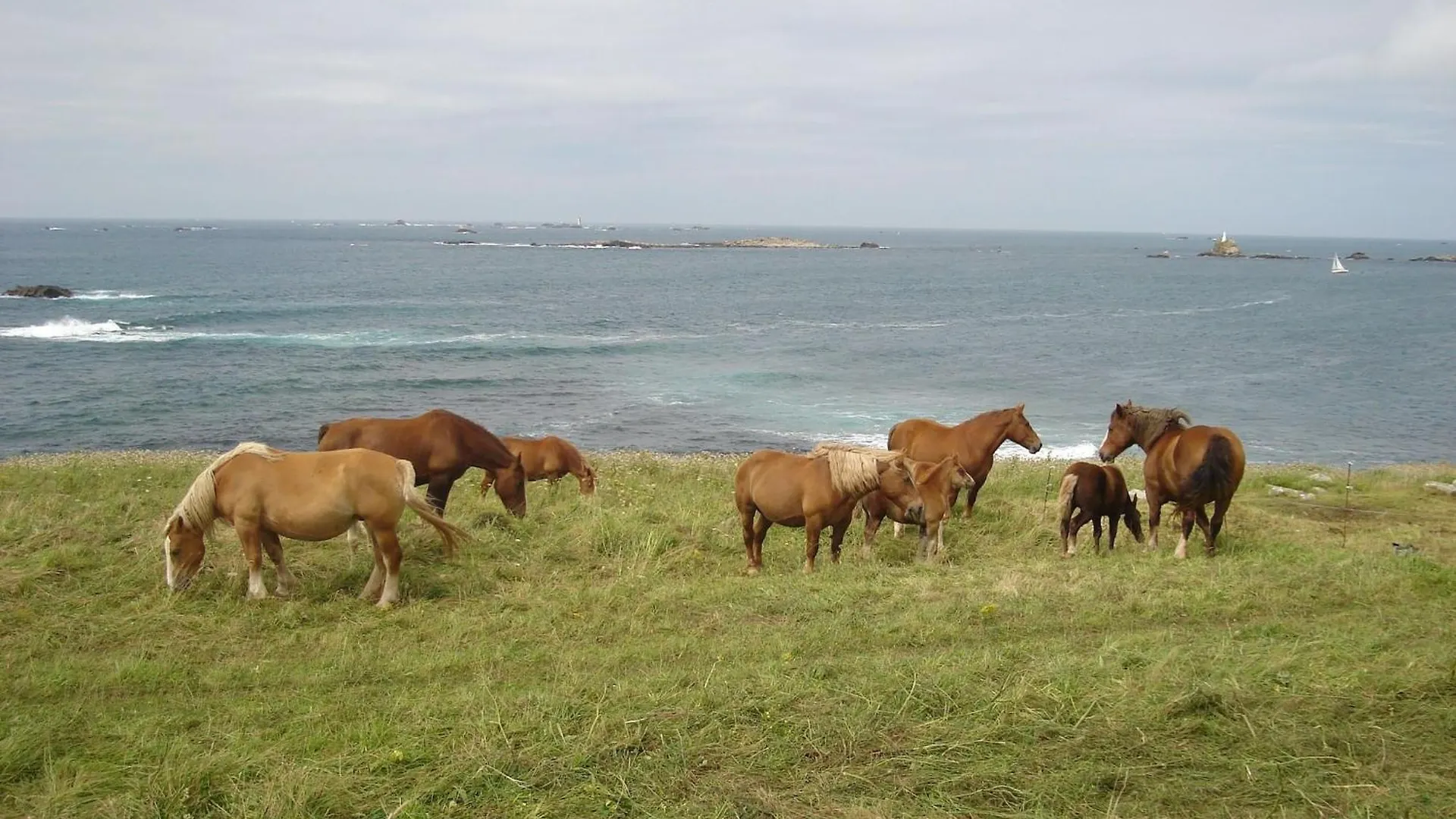 Villa House In Brittany With Stunning Sea View, Cleaning Included Porspoder Сasa de vacaciones